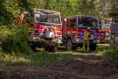 Im Fuchsbau - GFFF-V - CCFM im Wald