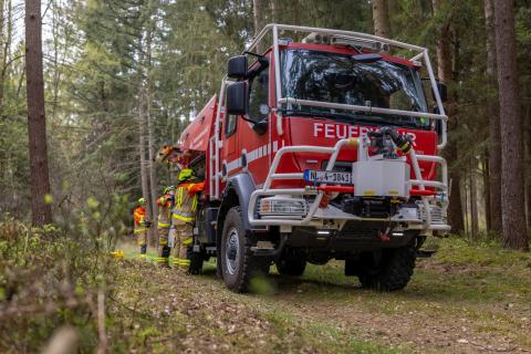 2026-04-18: Arbeiten im Wald - FF Ostheide, Claas Steinhauer